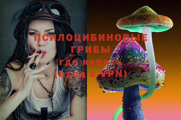 стафф Пестово