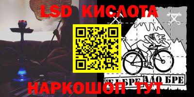 гашик Берёзовский