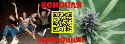гашик Берёзовский