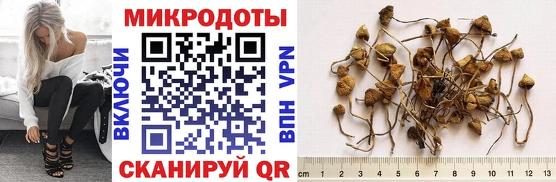 Псилоцибиновые грибы мухоморы  Великий Новгород 