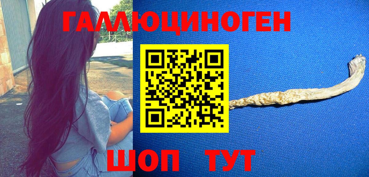 Псилоцибиновые грибы Magic Shrooms  Вход с VPN  Великий Новгород  Псилоцибиновые грибы Psilocybine cubensis 